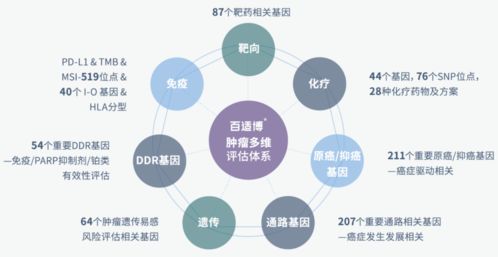 臻和科技獲超十億元E輪融資，加速腫瘤診斷產(chǎn)品研發(fā)及信息技術(shù)咨詢(xún)服務(wù)升級(jí)