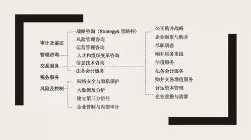 四大咨詢(xún)之外 信息技術(shù)咨詢(xún)服務(wù)的優(yōu)勢(shì)與機(jī)遇